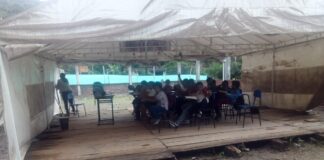 Ruidos en el rincón