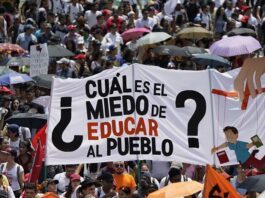 Privatizar la educación no es una opción