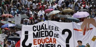 Privatizar la educación no es una opción