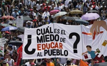 Privatizar la educación no es una opción