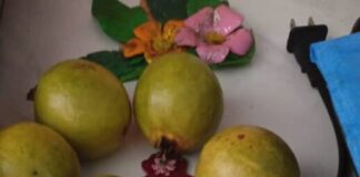 Mi recuerdo de la guayaba